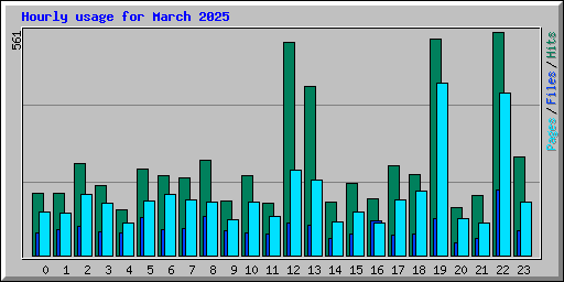Hourly usage for March 2025