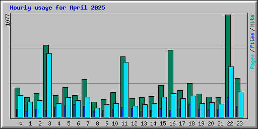 Hourly usage for April 2025