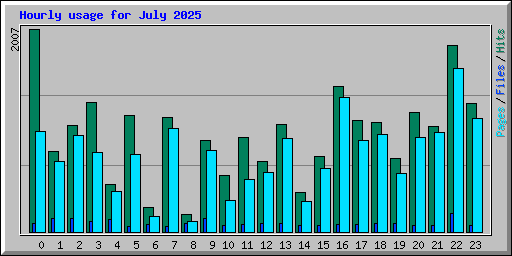Hourly usage for July 2025